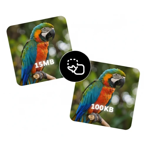 Bulk resize images by file size online